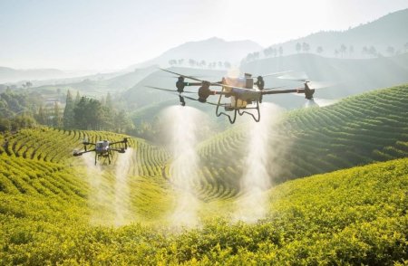 Tratamientos Sanitario con Dron
