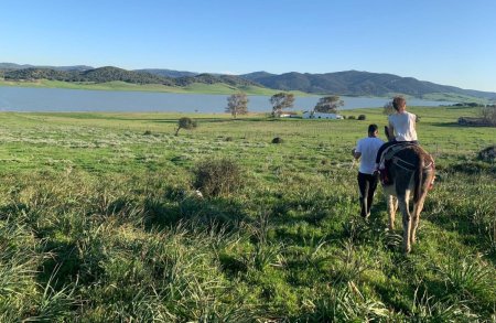 Paseos en burro Andaluz Parque Natural Los Alcornocales