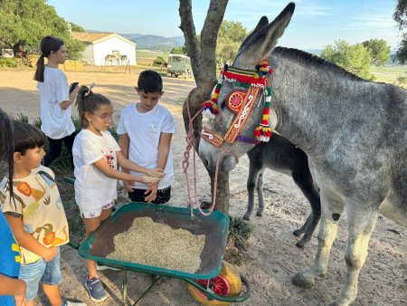 Paseos en burro Andaluz Parque Natural Los Alcornocales
