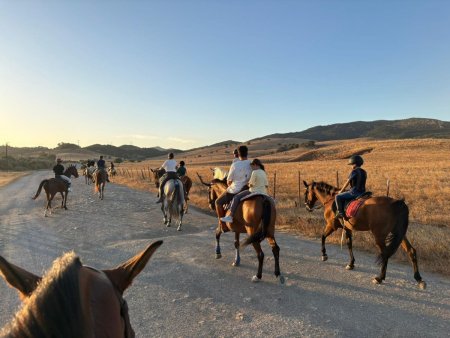 Rutas a Caballo