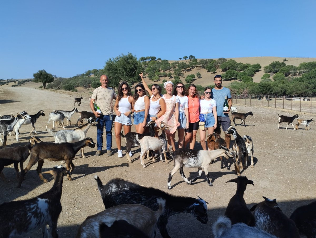 Visitas al Centro de Recuperación del Burro Andaluz