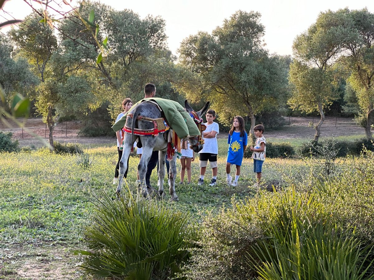 Visitas al Centro de Recuperación del Burro Andaluz