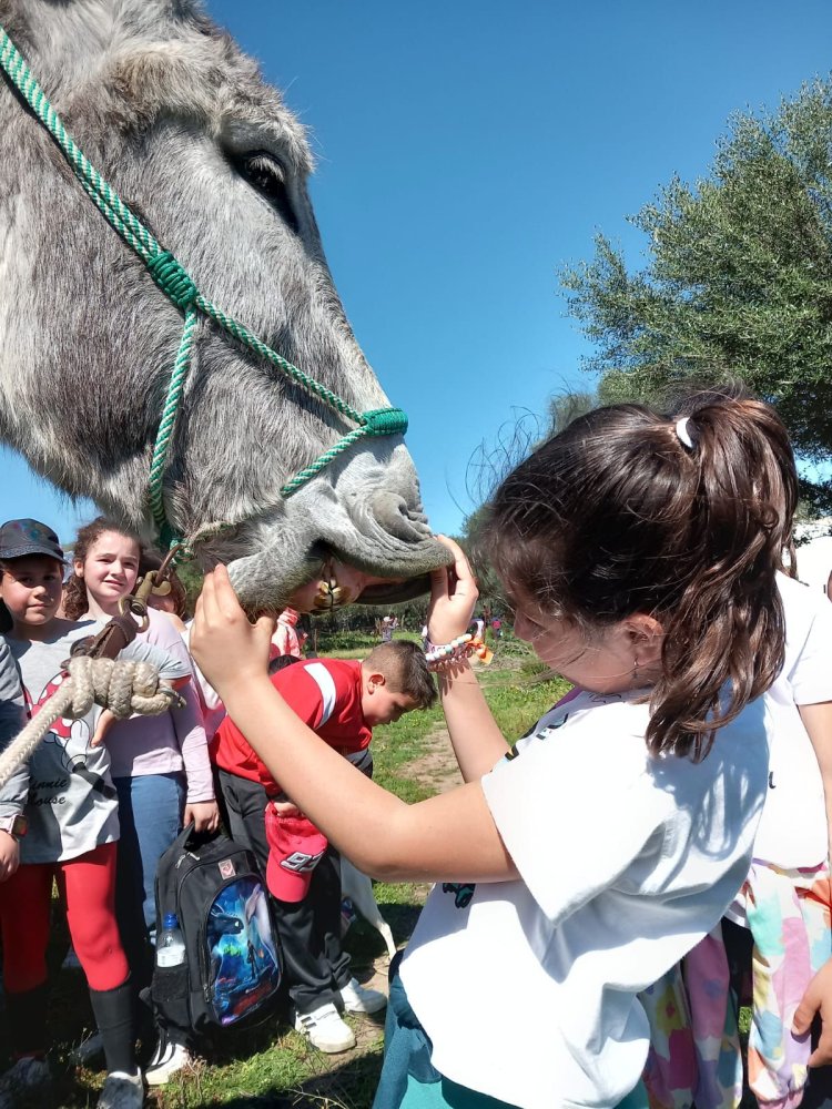 Visitas al Centro de Recuperación del Burro Andaluz