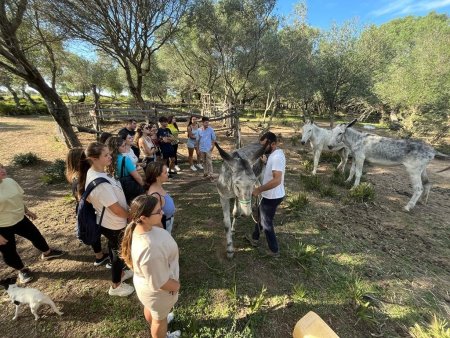 Visitas al Centro de Recuperación del Burro Andaluz