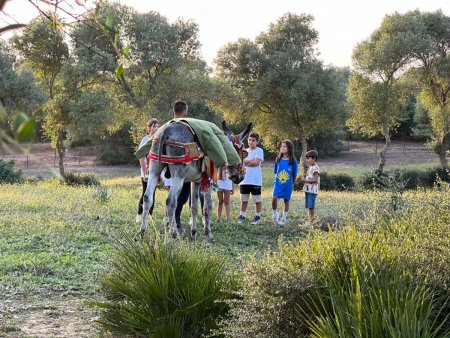 Visitas al Centro de Recuperación del Burro Andaluz