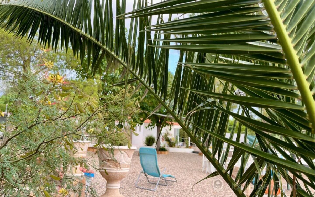 Gran Piscina en Finca de 3000 m2 a 25 min de Madrid