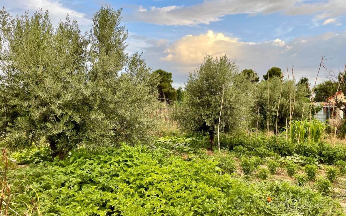 Gran Piscina en Finca de 3000 m2 a 25 min de Madrid