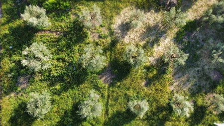 Gran Piscina en Finca de 3000 m2 a 25 min de Madrid