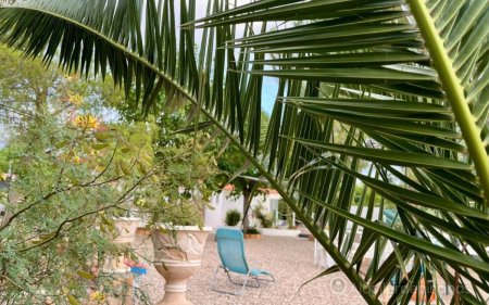 Gran Piscina en Finca de 3000 m2 a 25 min de Madrid