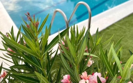 Gran Piscina en Finca de 3000 m2 a 25 min de Madrid