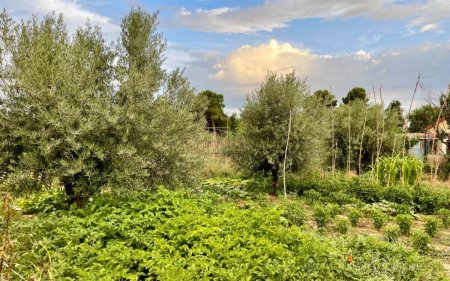 Gran Piscina en Finca de 3000 m2 a 25 min de Madrid