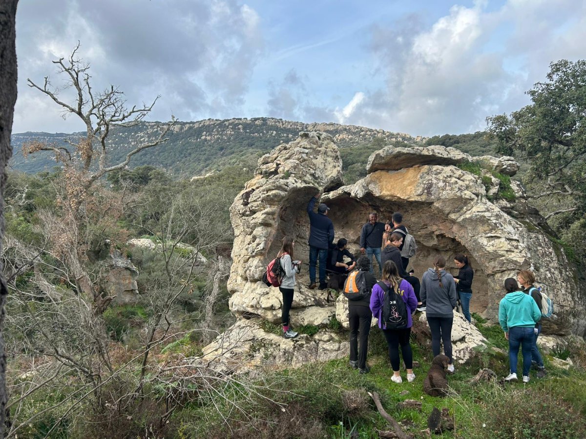 Rutas Guiadas de Senderismo en Los Alcornocales