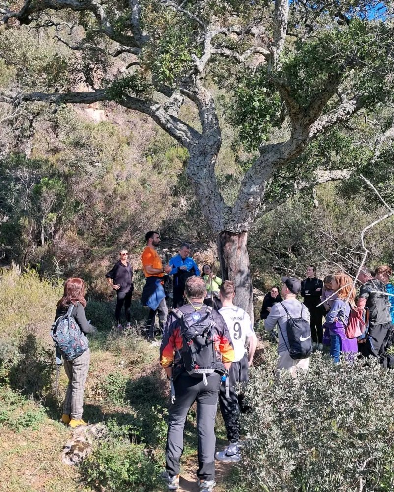 Rutas Guiadas de Senderismo en Los Alcornocales