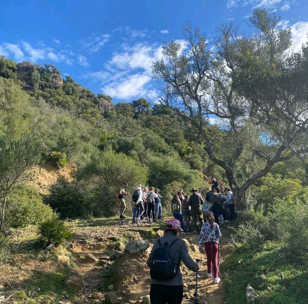 Rutas Guiadas de Senderismo en Los Alcornocales