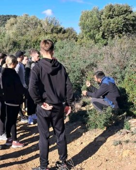 Rutas Guiadas de Senderismo en Los Alcornocales